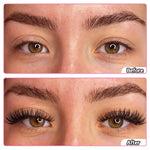 Synthetic Cluster Eyelash Extension Box