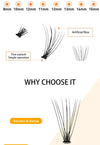 Synthetic Cluster Eyelash Extension Box